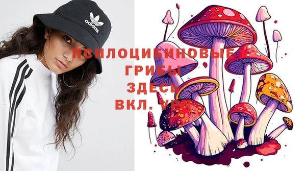 метадон Абинск