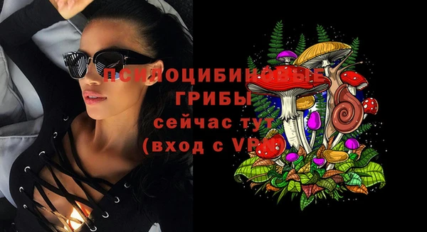 mix Абаза